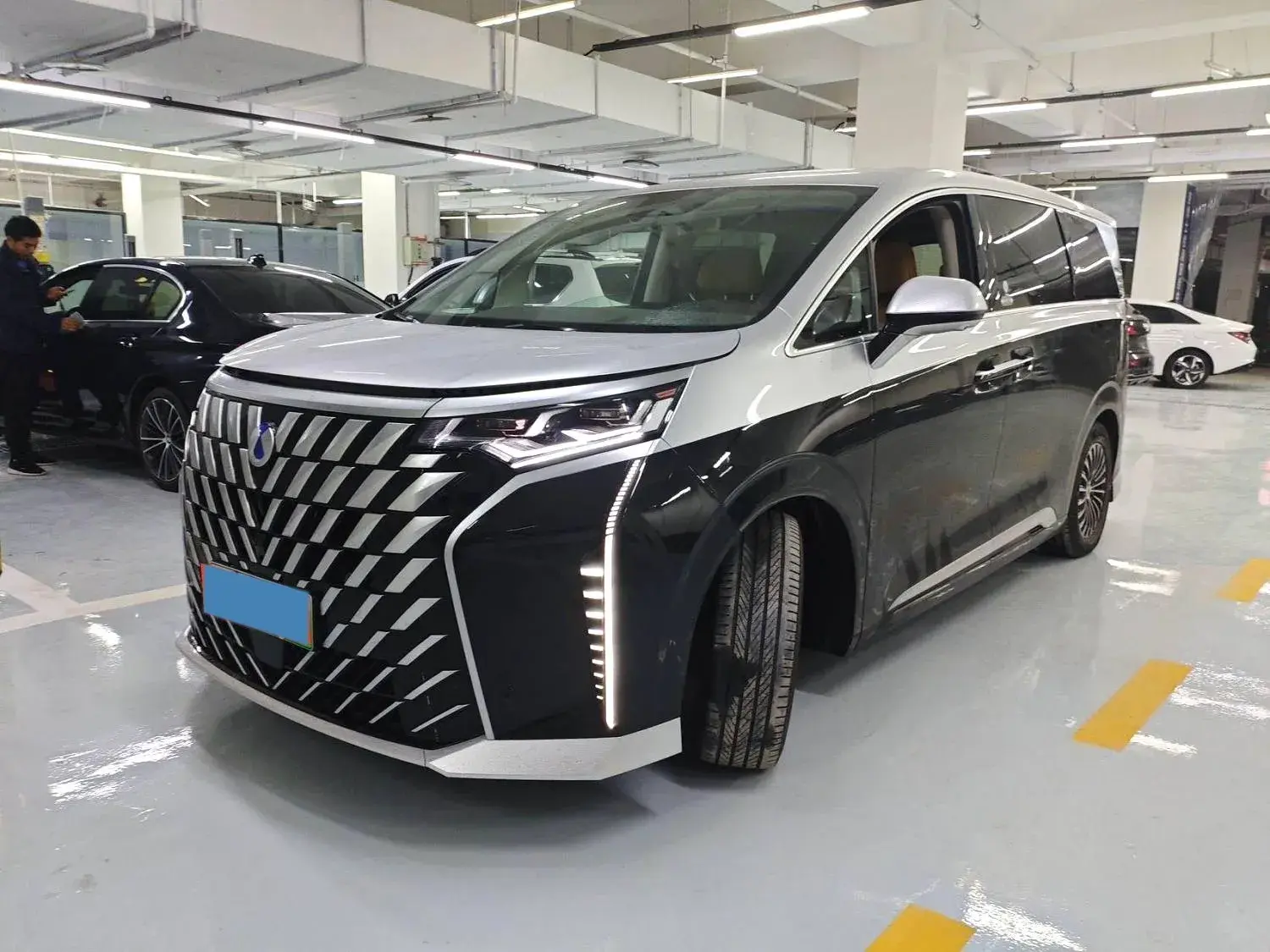 2022 DENZA D9 view 1