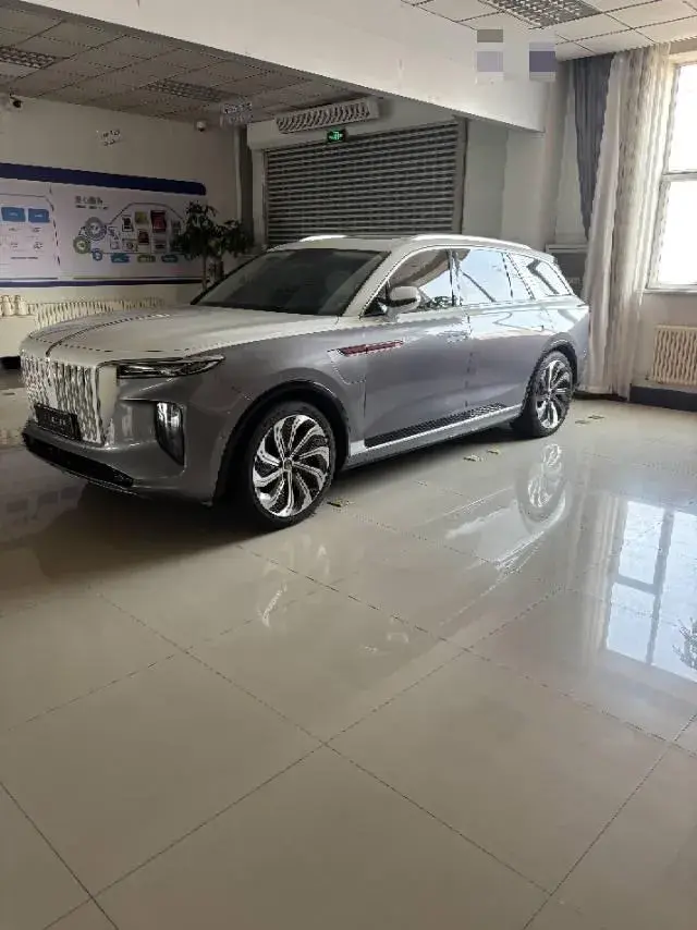 2022 HONGQI E-HS9 view 1