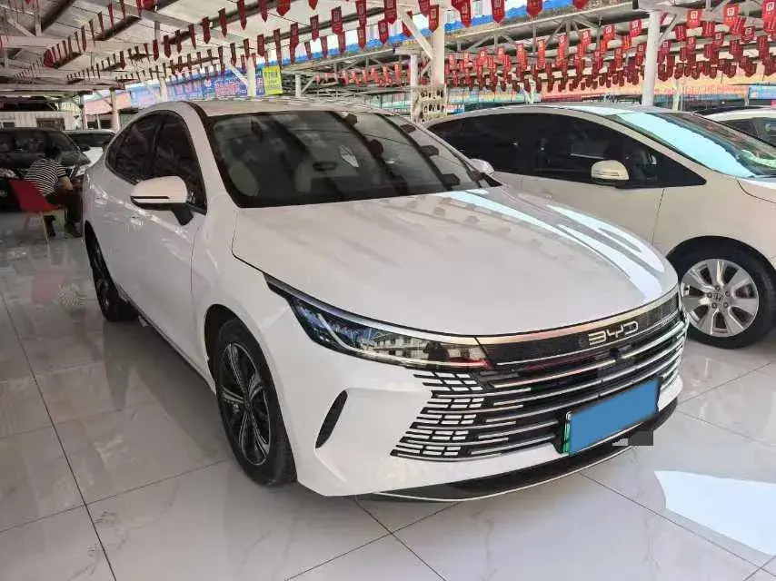 2024 BYD DESTROYER thumbnail 3