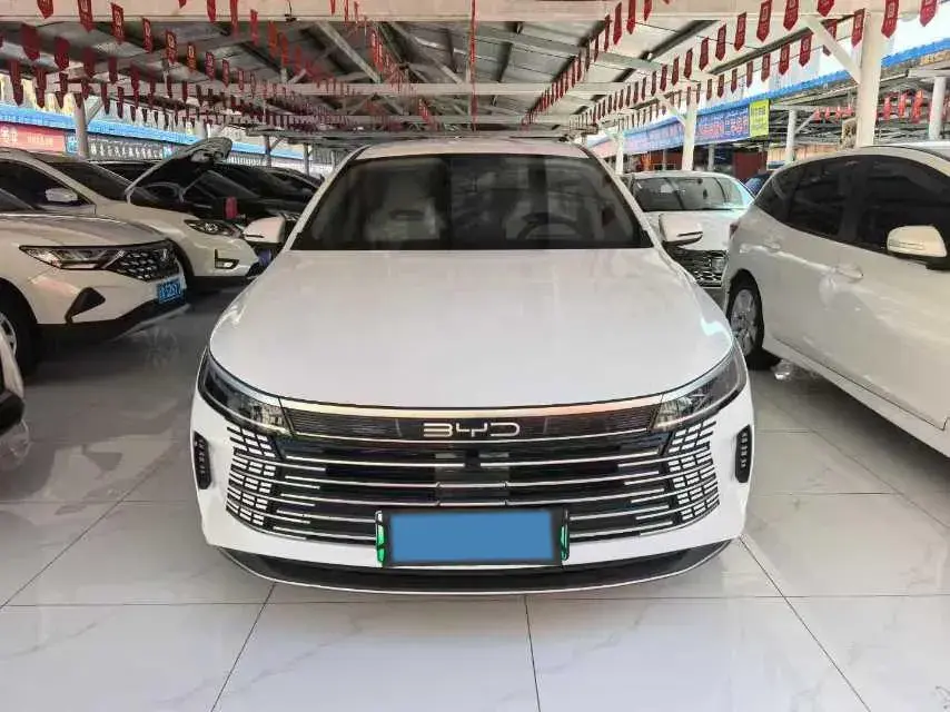 2024 BYD DESTROYER thumbnail 2