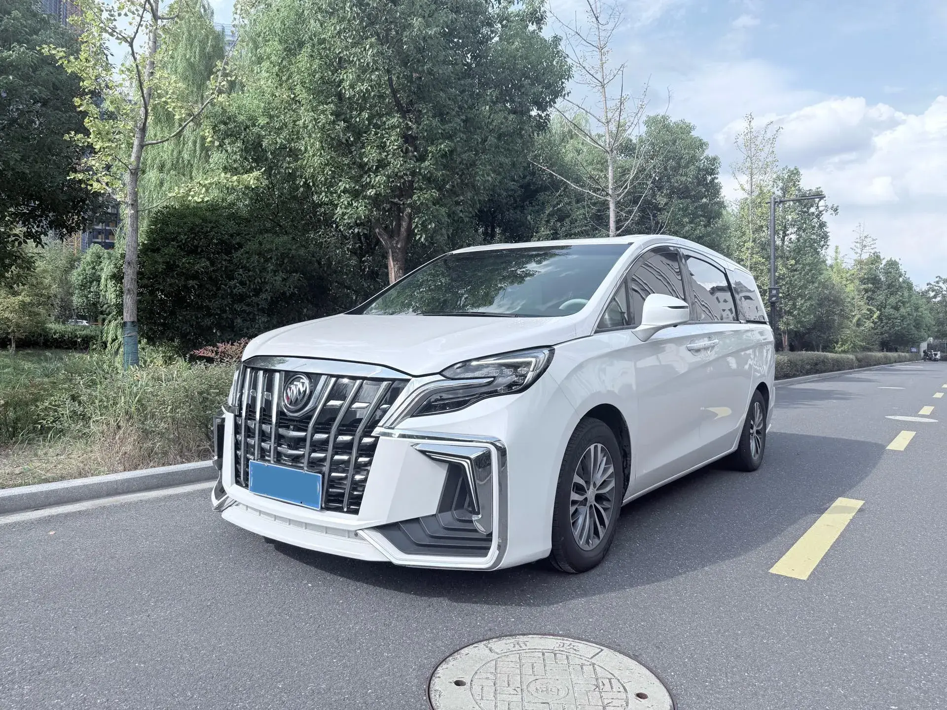 2020 BUICK GL8 view 1