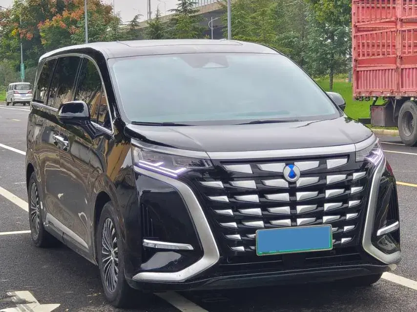 2022 DENZA D9 thumbnail 3