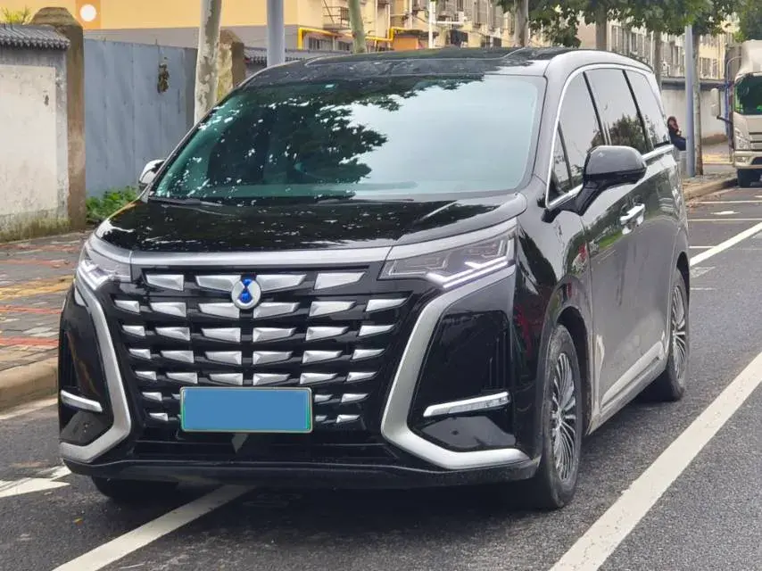 2022 DENZA D9 view 1