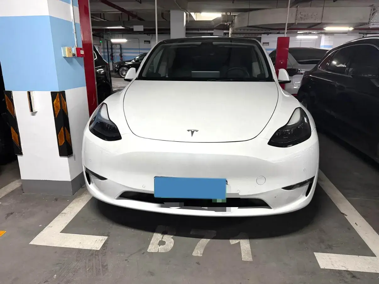 2021 TESLA MODEL thumbnail 2