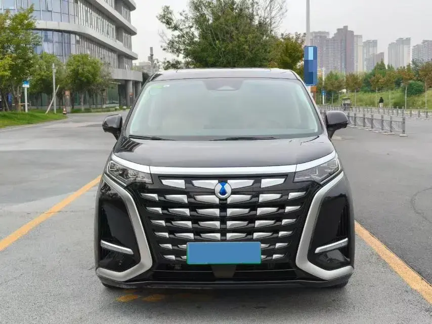 2022 DENZA D9 thumbnail 2