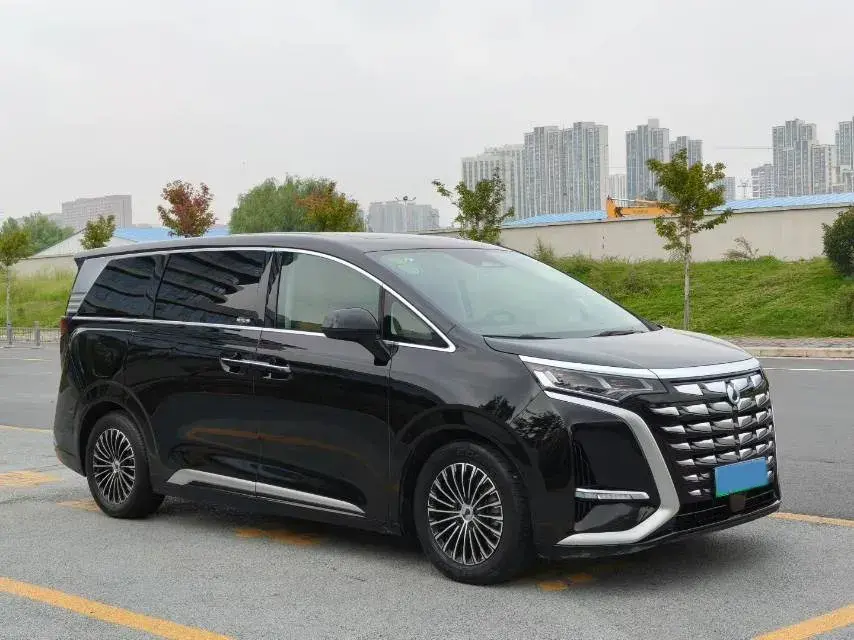 2022 DENZA D9 thumbnail 3