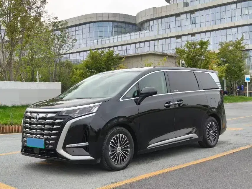 2022 DENZA D9 view 1