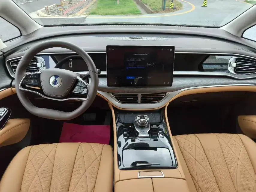 2022 DENZA D9 thumbnail 4