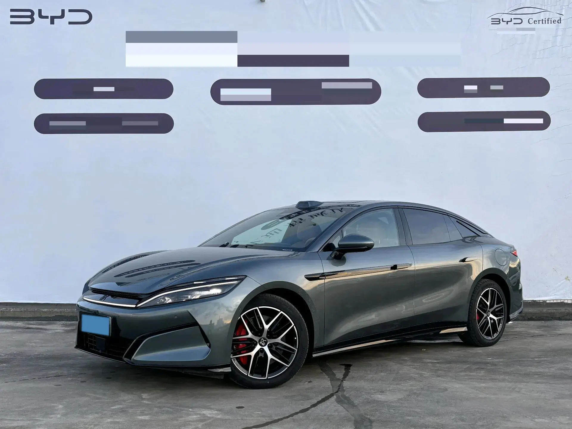 2025 BYD HANL view 1