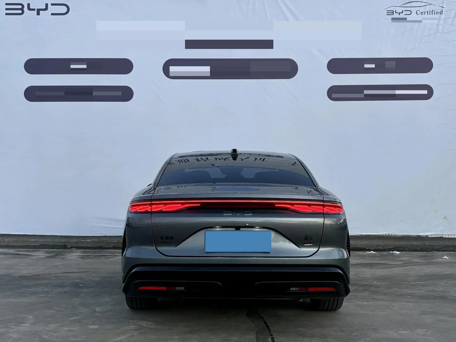 2025 BYD HANL thumbnail 4