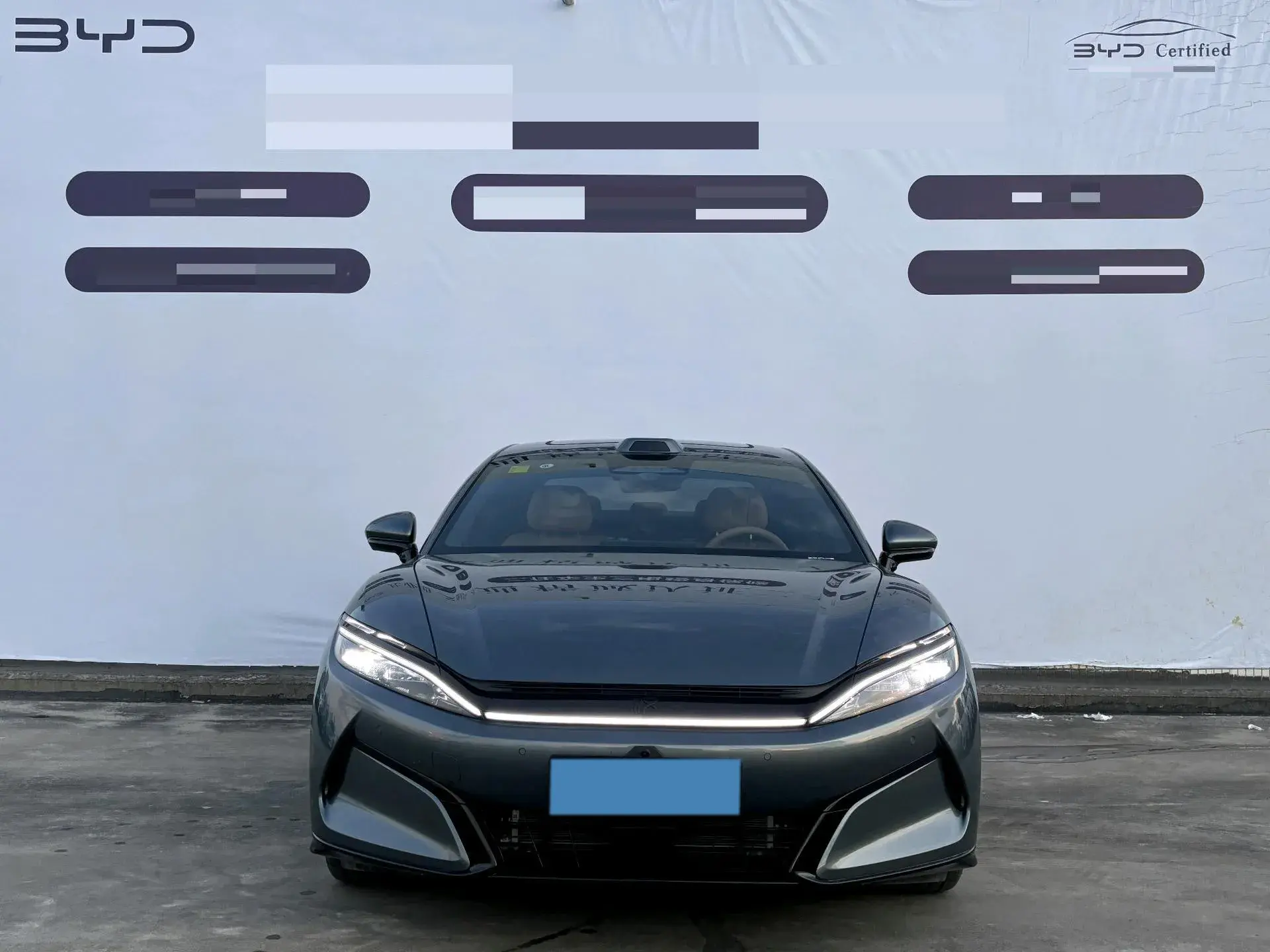 2025 BYD HANL thumbnail 2