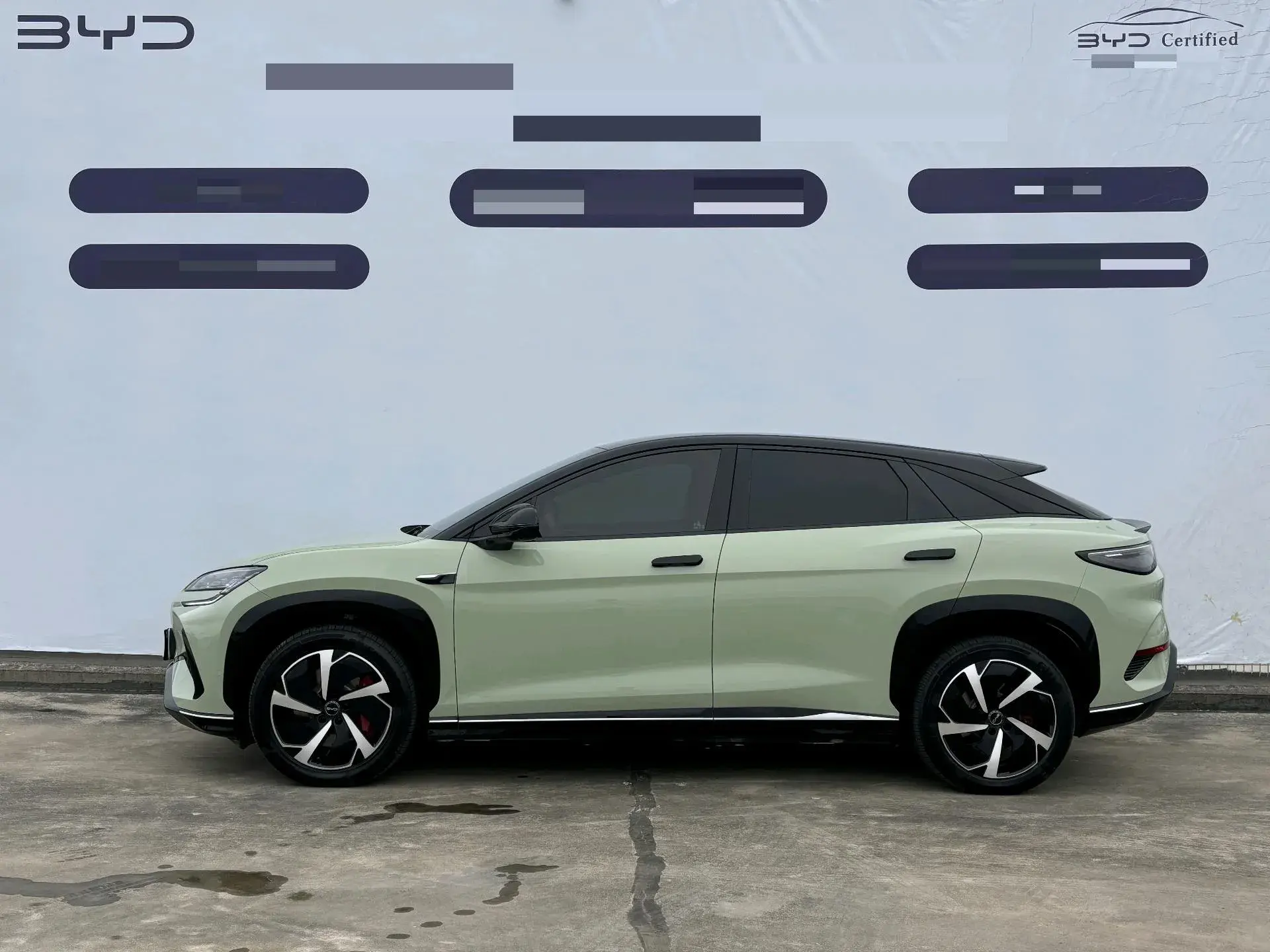 2025 BYD SEA thumbnail 3