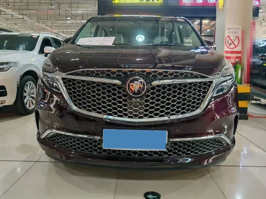 2020 BUICK GL8 thumbnail 2