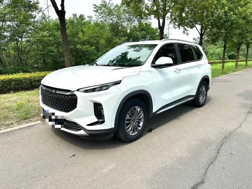 2020 MAXUS D60 view 1