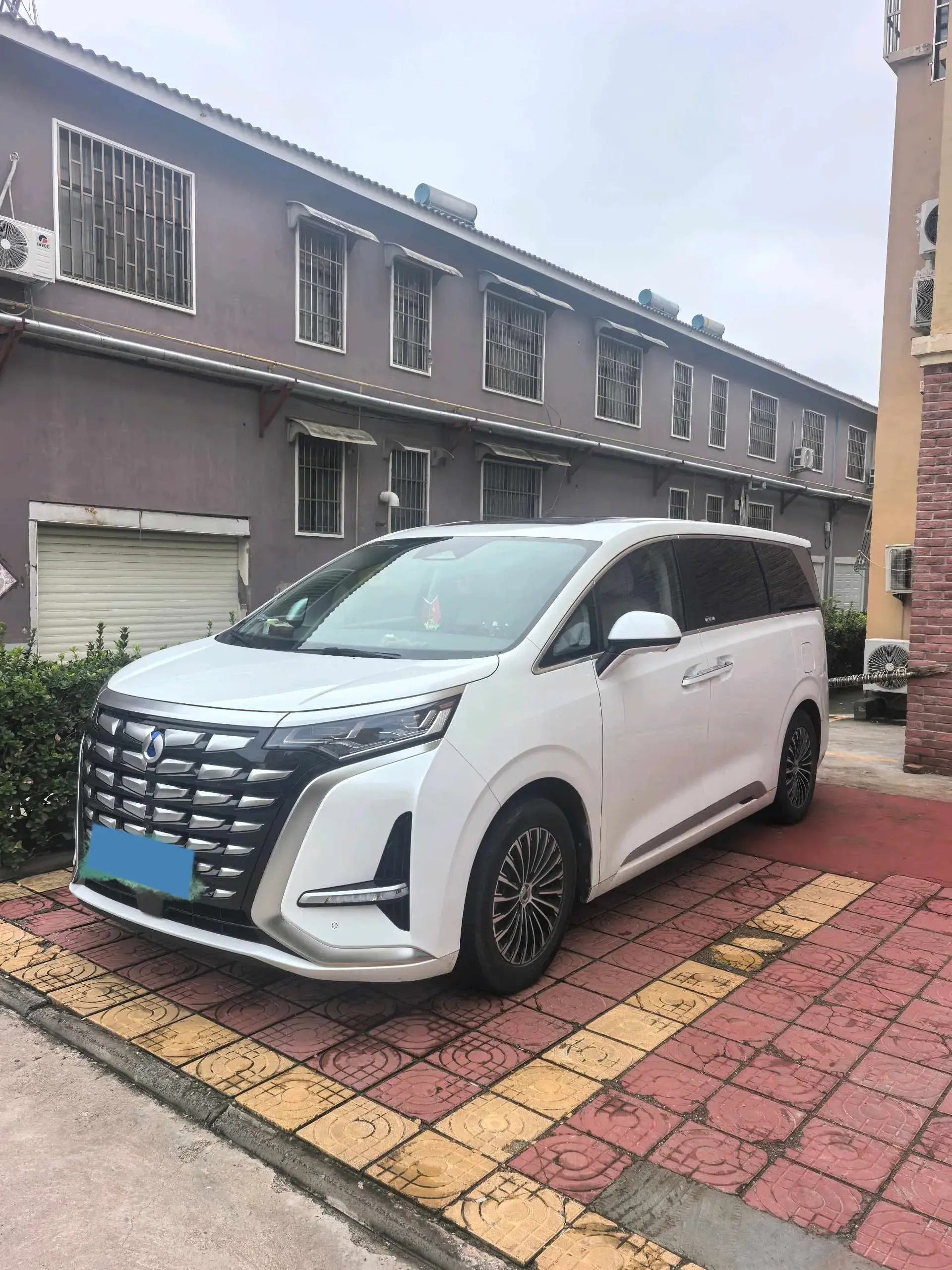 2022 DENZA D9 view 1