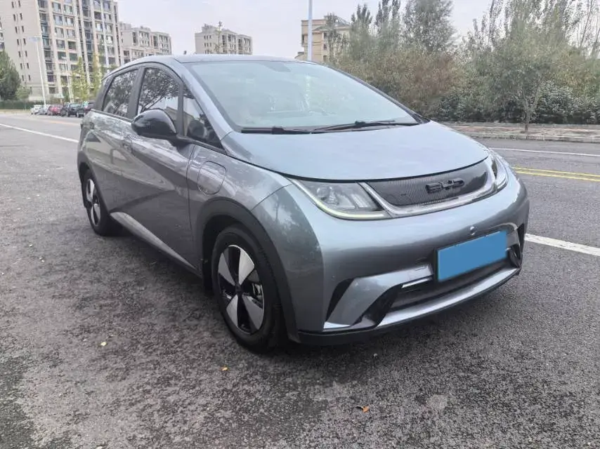 2023 BYD DOLPHIN thumbnail 2