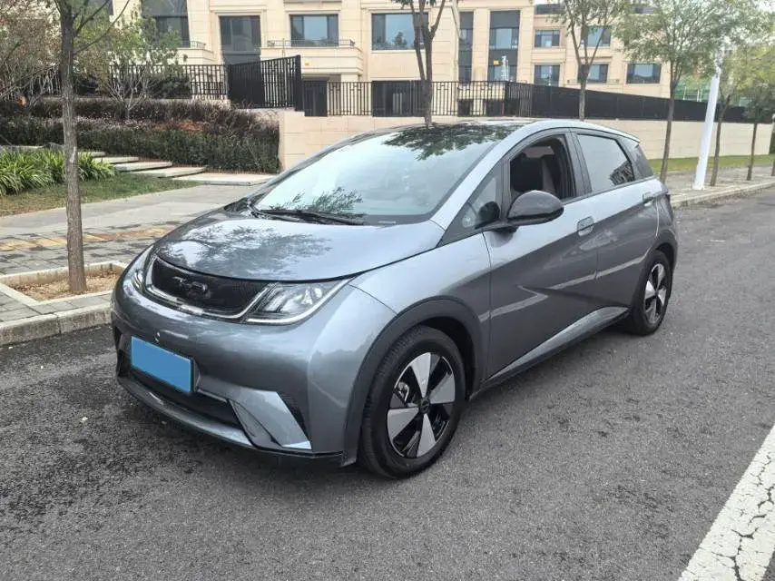 2023 BYD DOLPHIN view 1