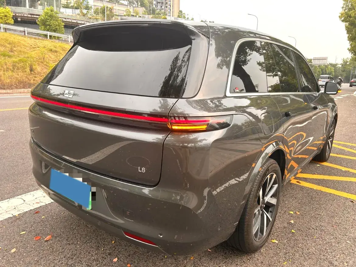 2023 LI L8 thumbnail 3