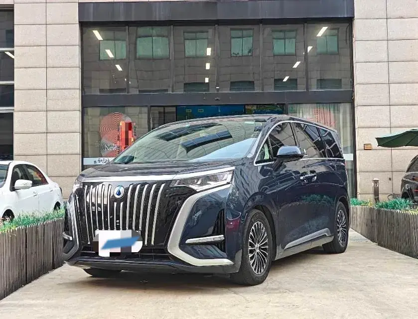 2024 DENZA D9 view 1