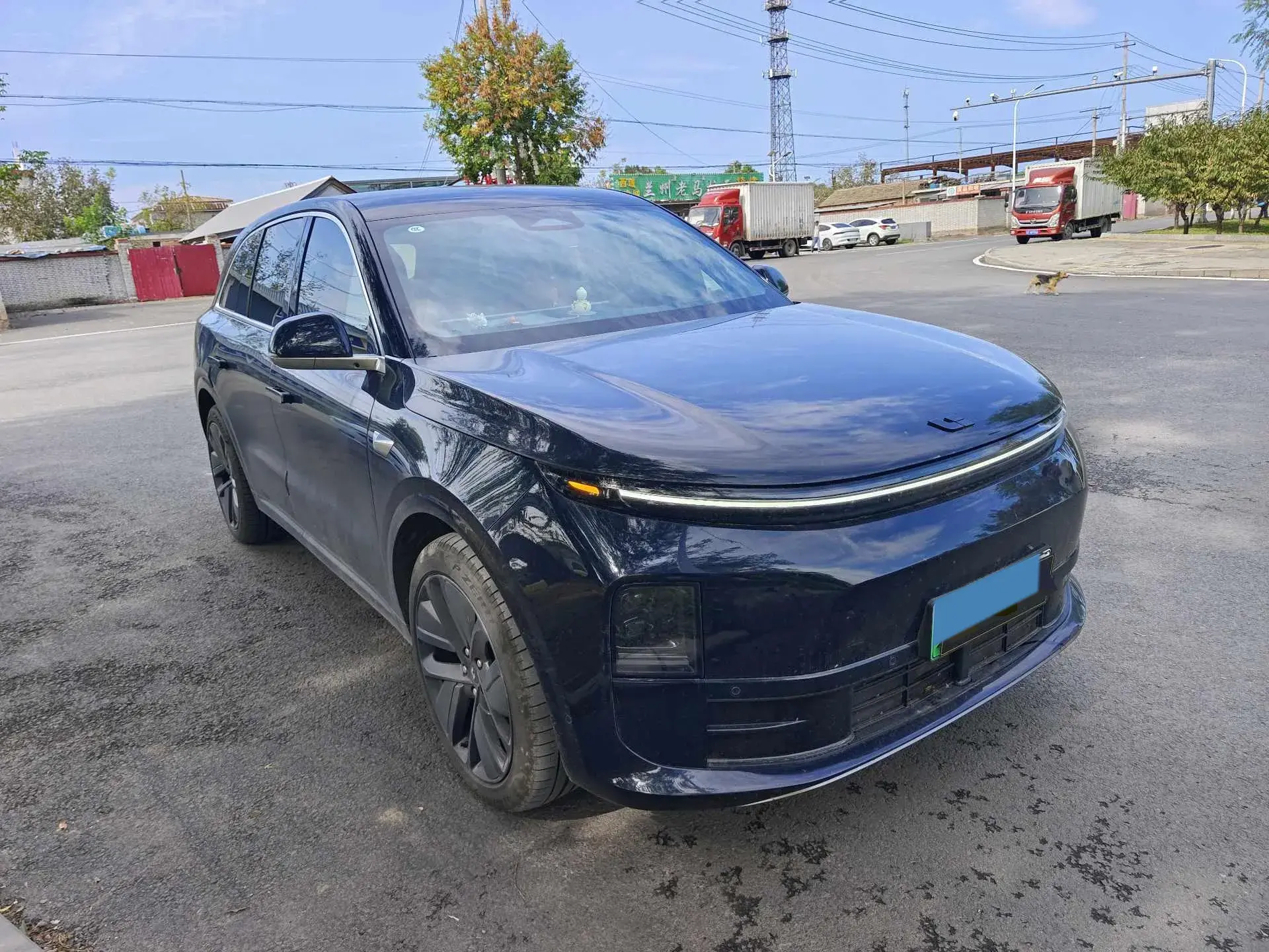 2024 LI L6 thumbnail 2