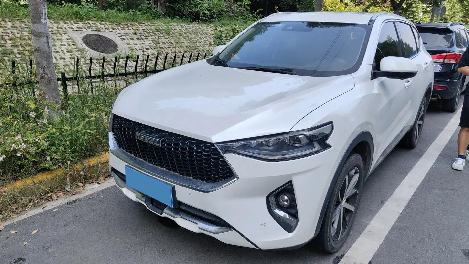2019 HAVAL F7 view 1