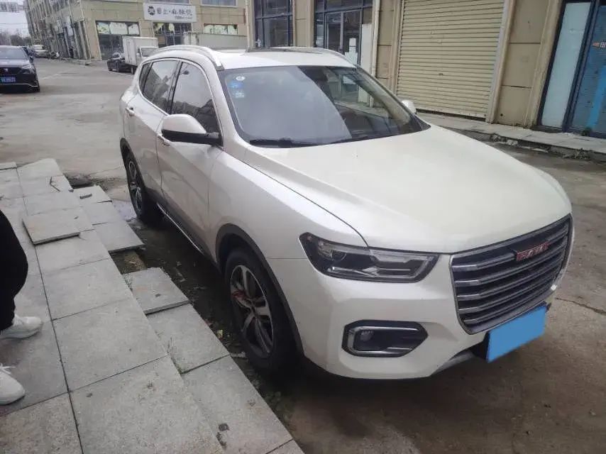2019 HAVAL H6 thumbnail 2