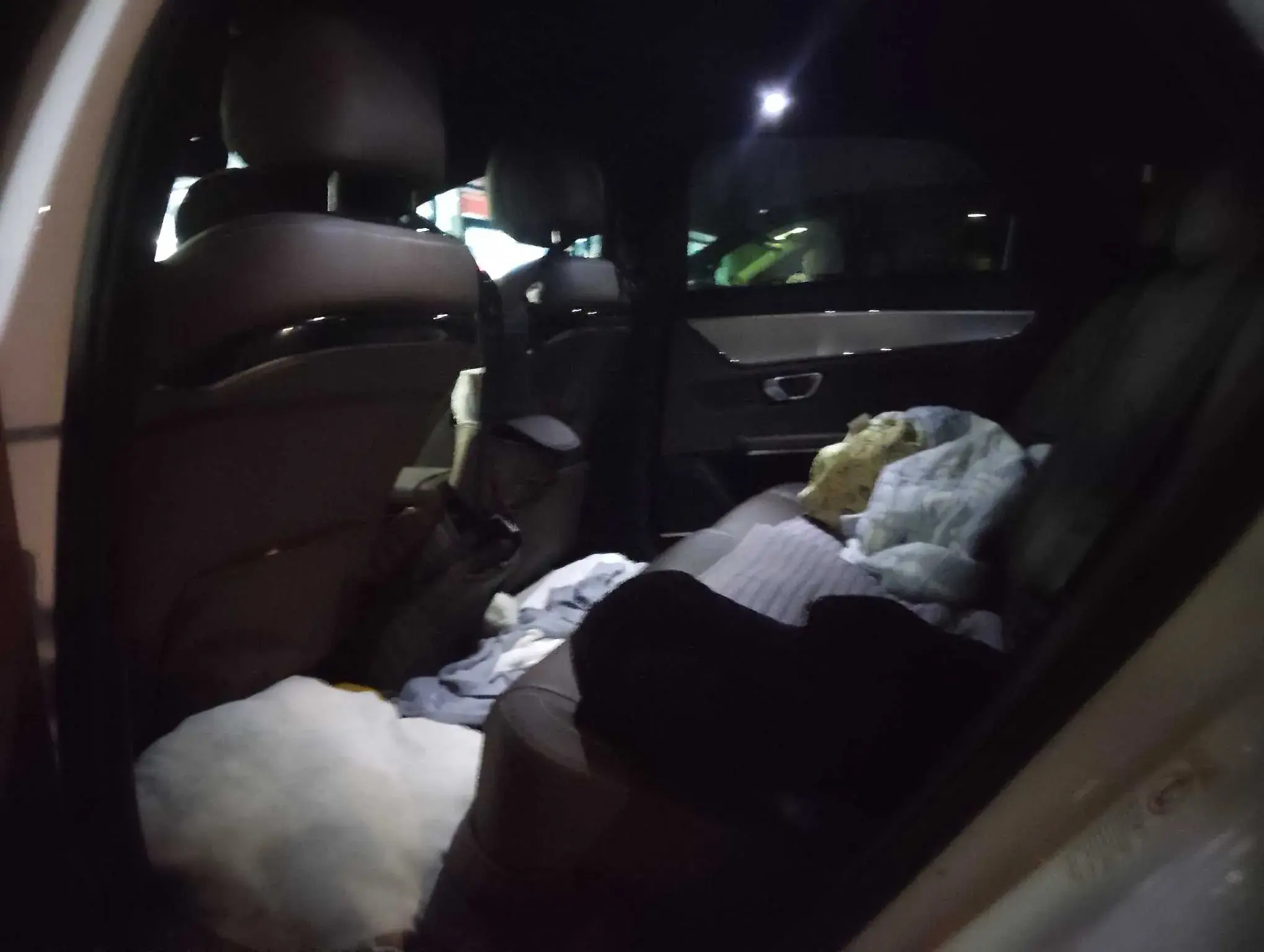 2020 BYD HAN thumbnail 4