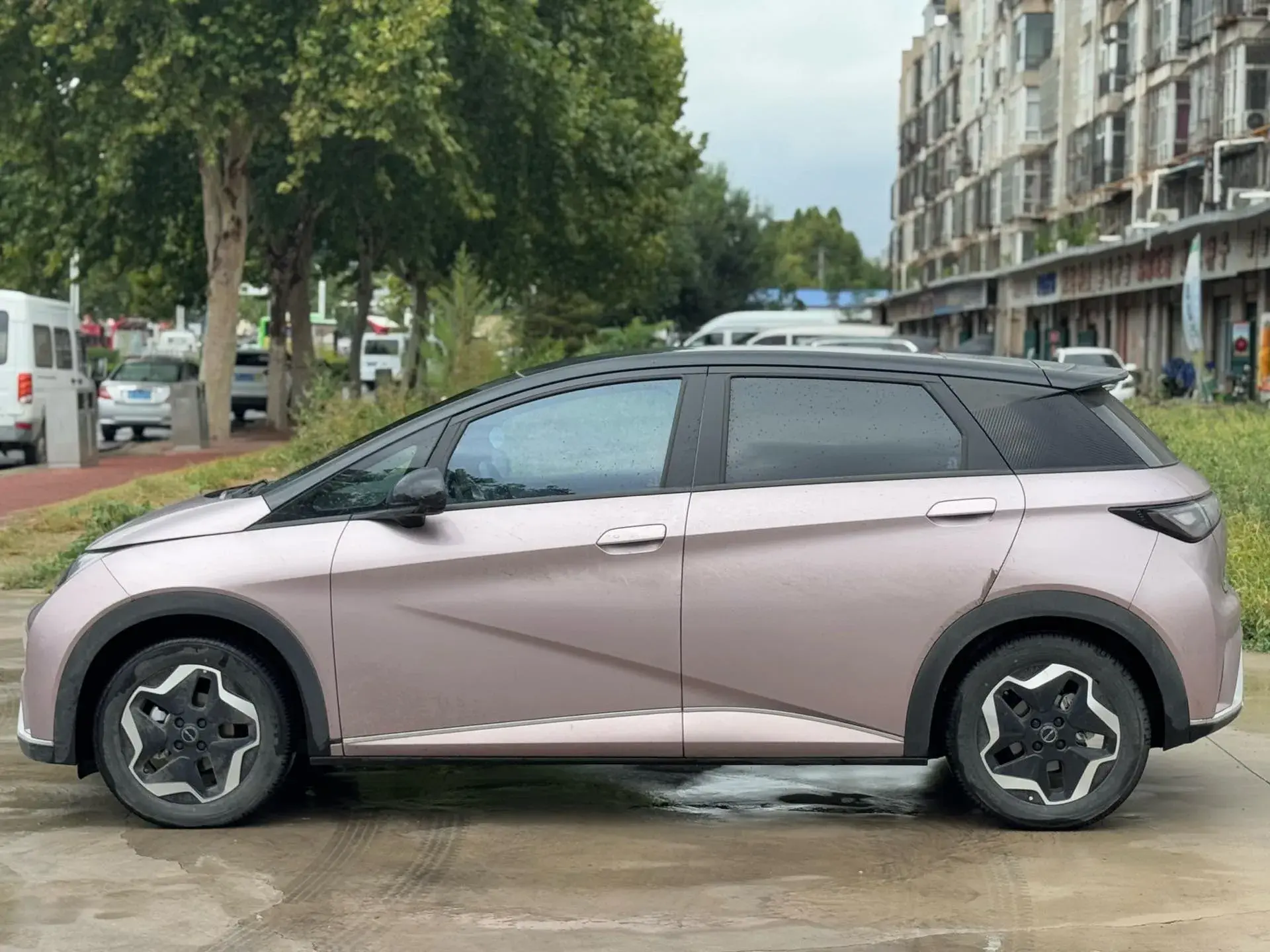 2021 BYD DOLPHIN thumbnail 4