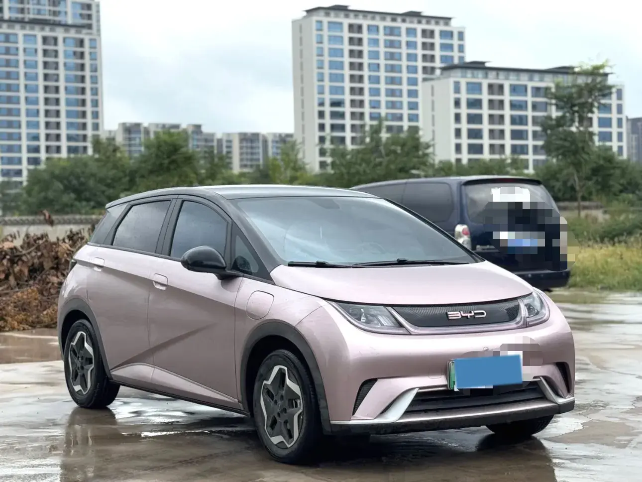 2021 BYD DOLPHIN thumbnail 3