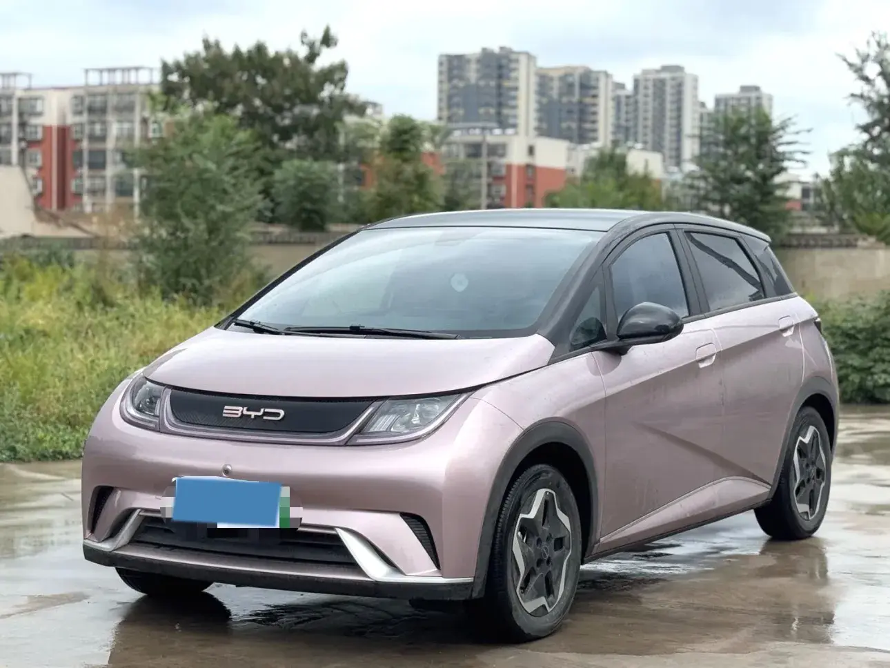 2021 BYD DOLPHIN view 1