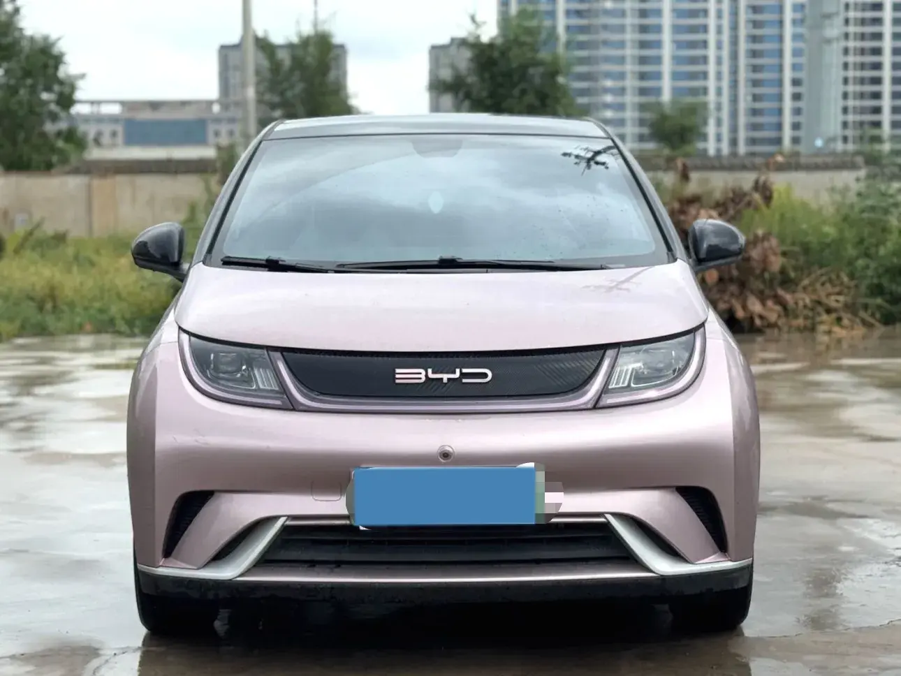 2021 BYD DOLPHIN thumbnail 2