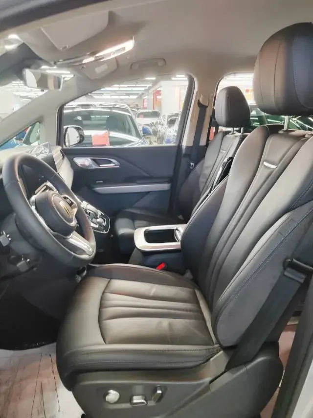 2023 HONGQI HQ9 thumbnail 2