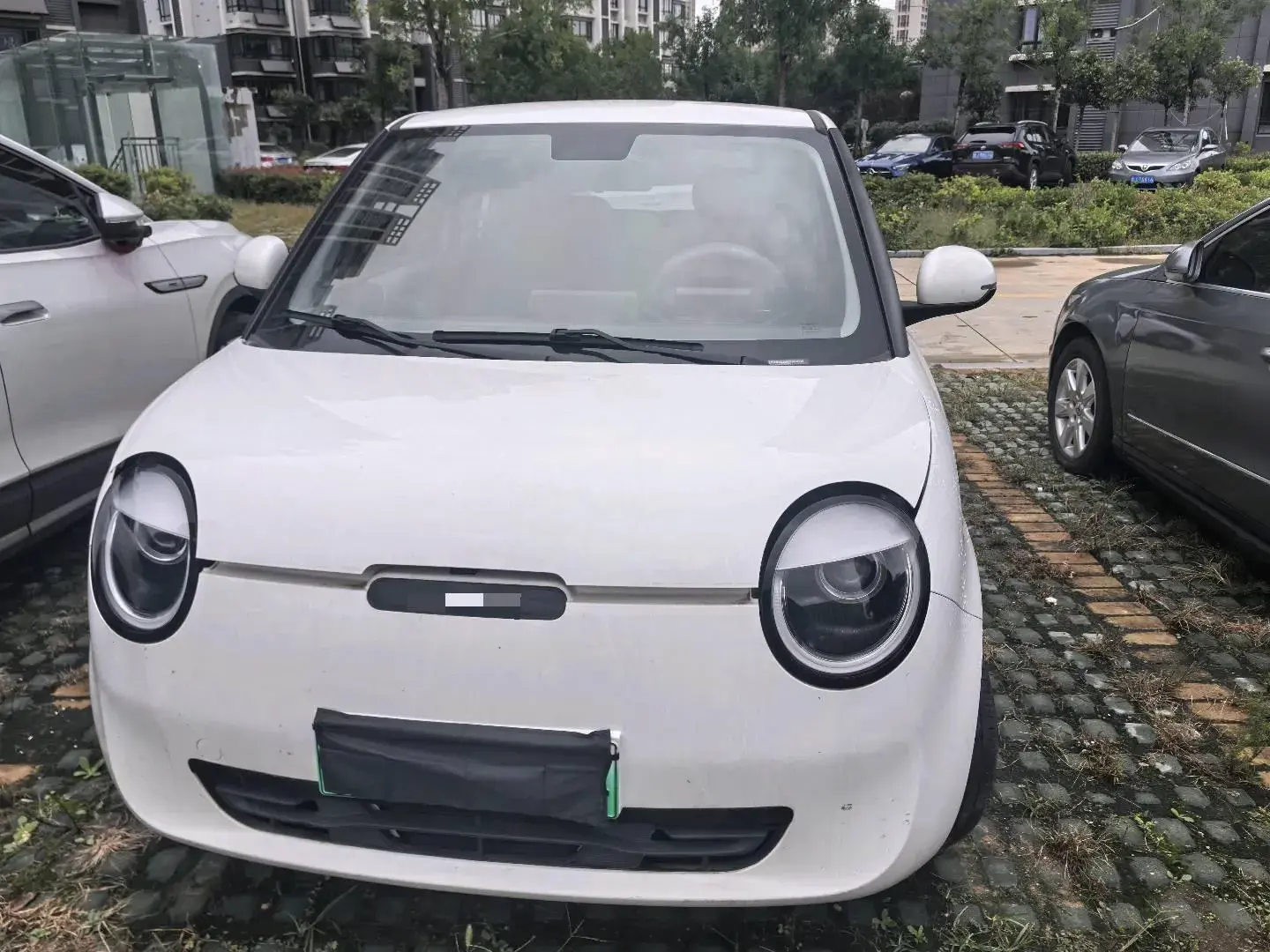 2022 CHANGAN QIYUAN thumbnail 2