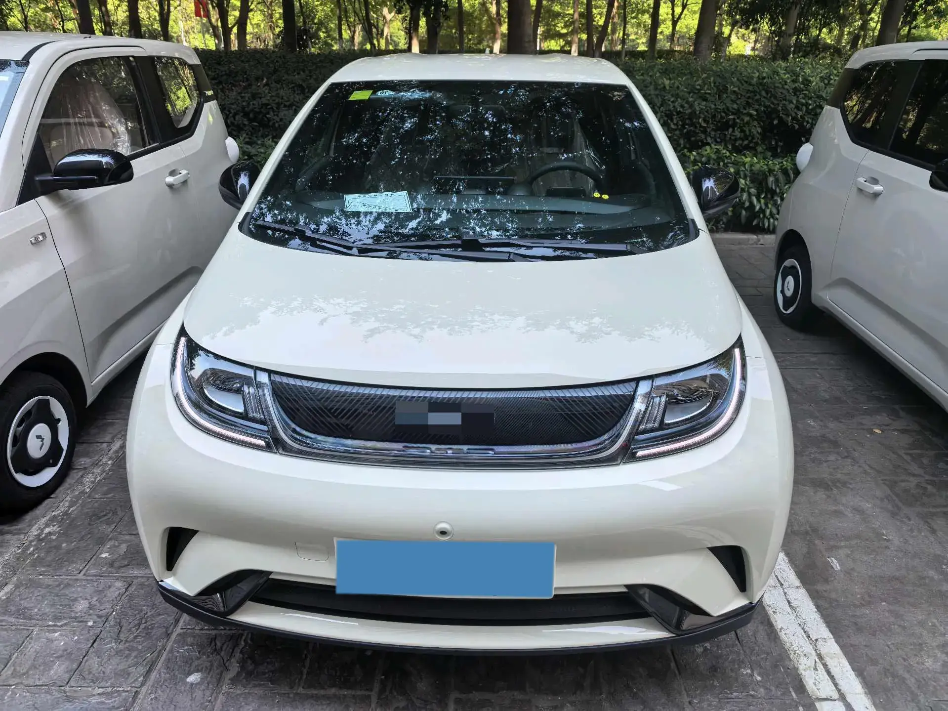 2025 BYD DOLPHIN thumbnail 4