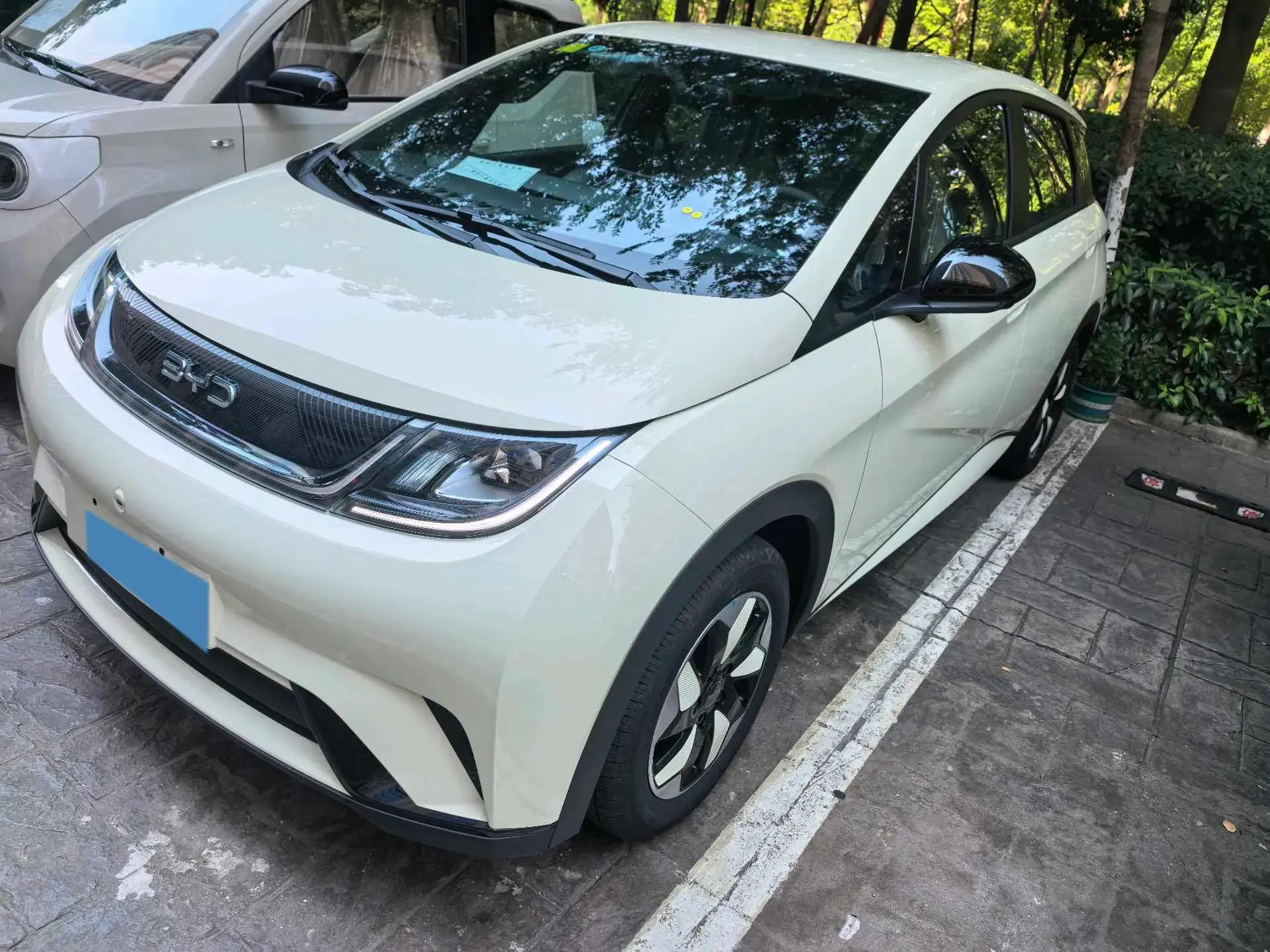 2025 BYD DOLPHIN view 1