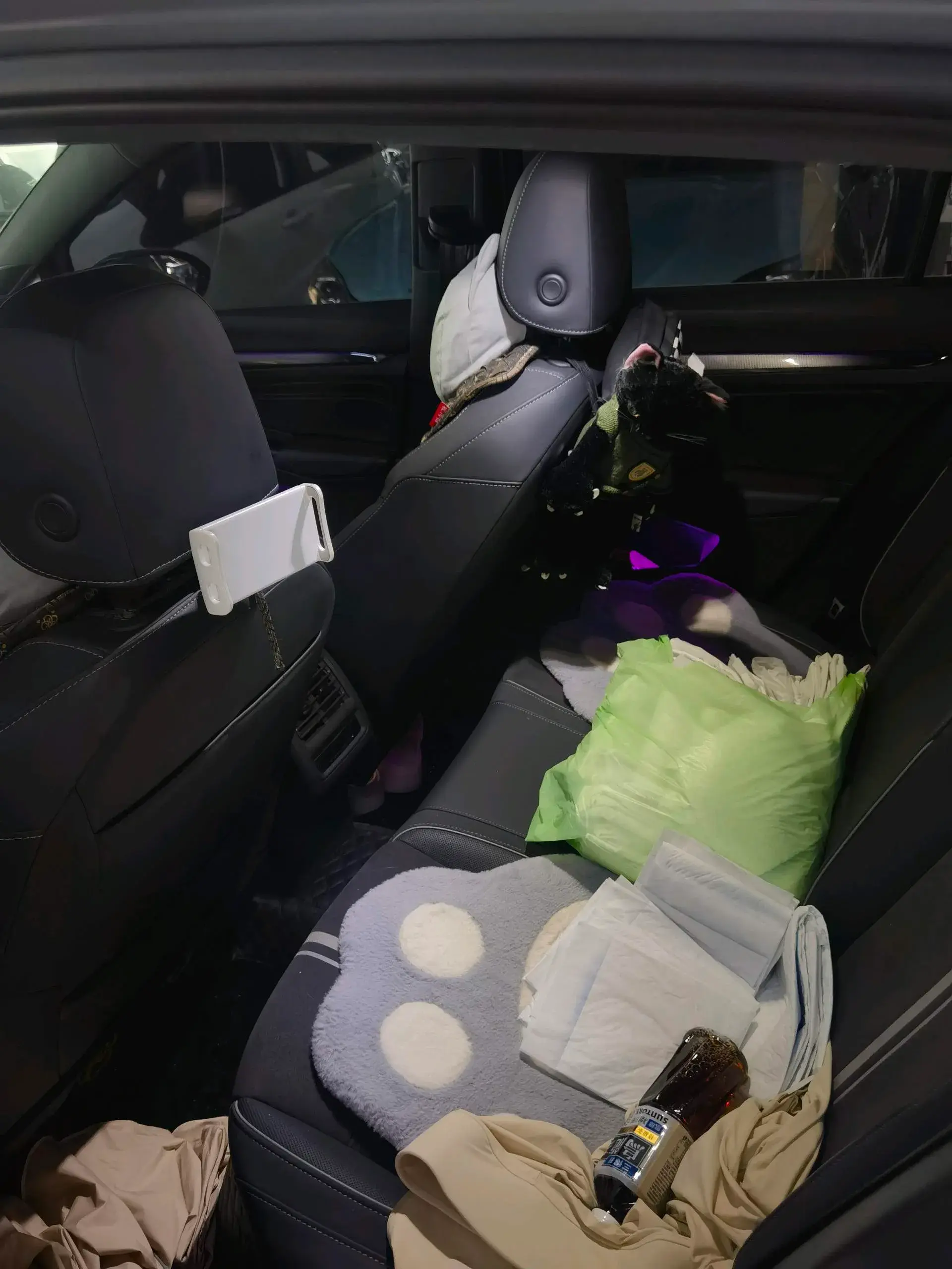 2023 VOLKSWAGEN GOLF thumbnail 4