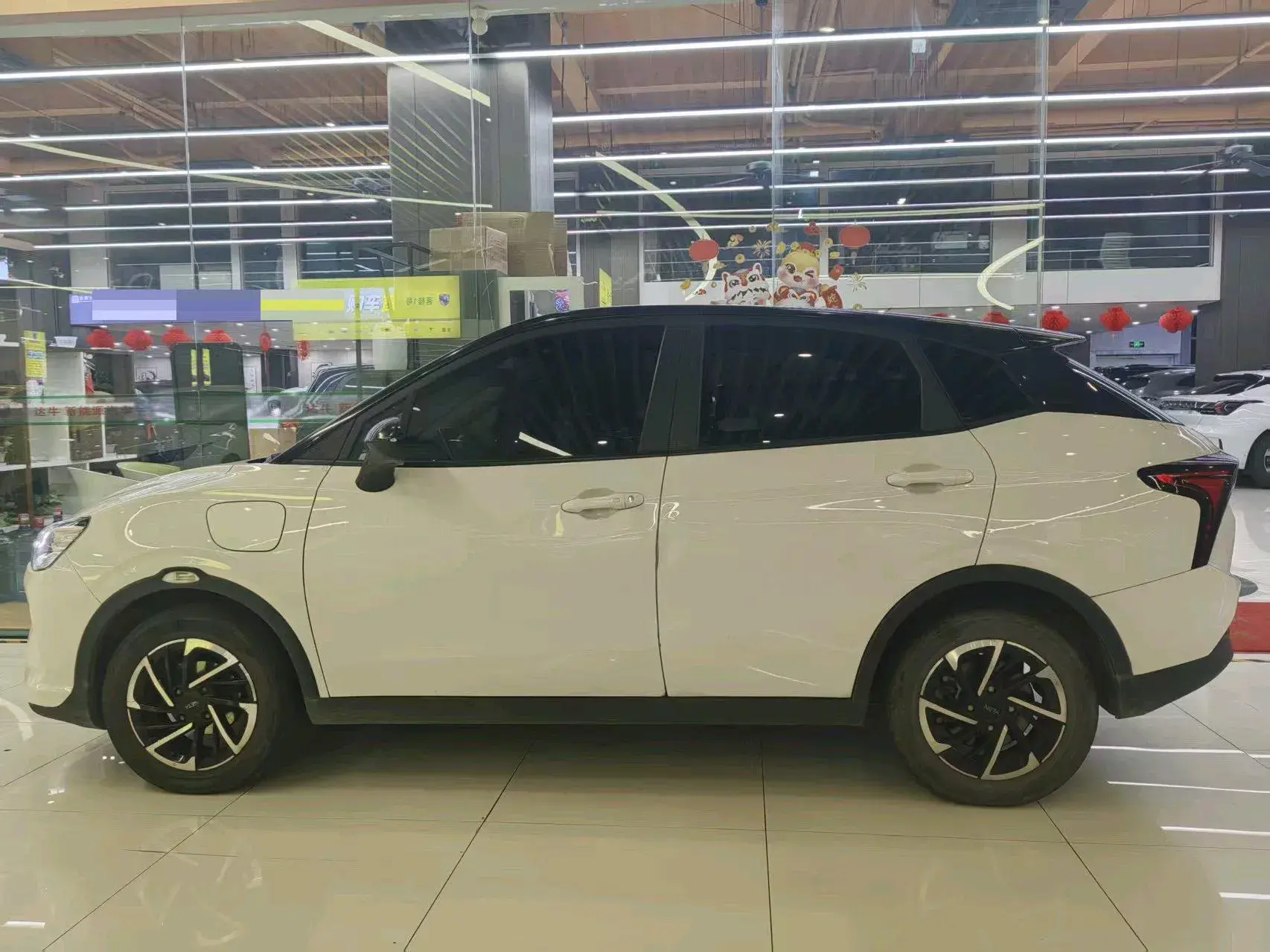 2021 NETA V thumbnail 3