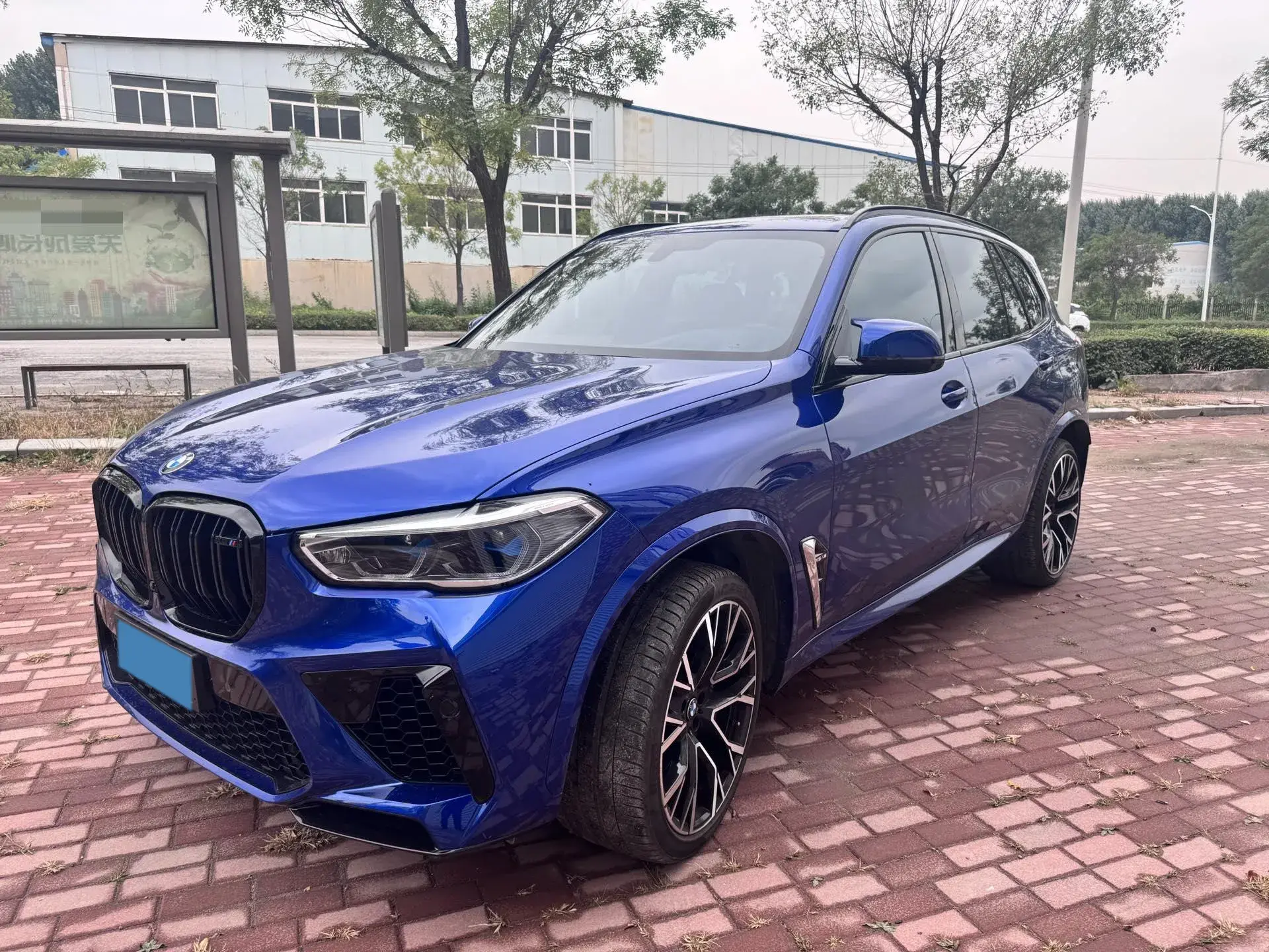 2020 BMW X5 view 1