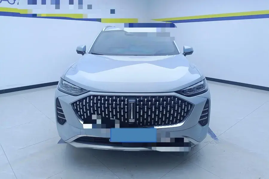 2021 WEY MOCHA thumbnail 3