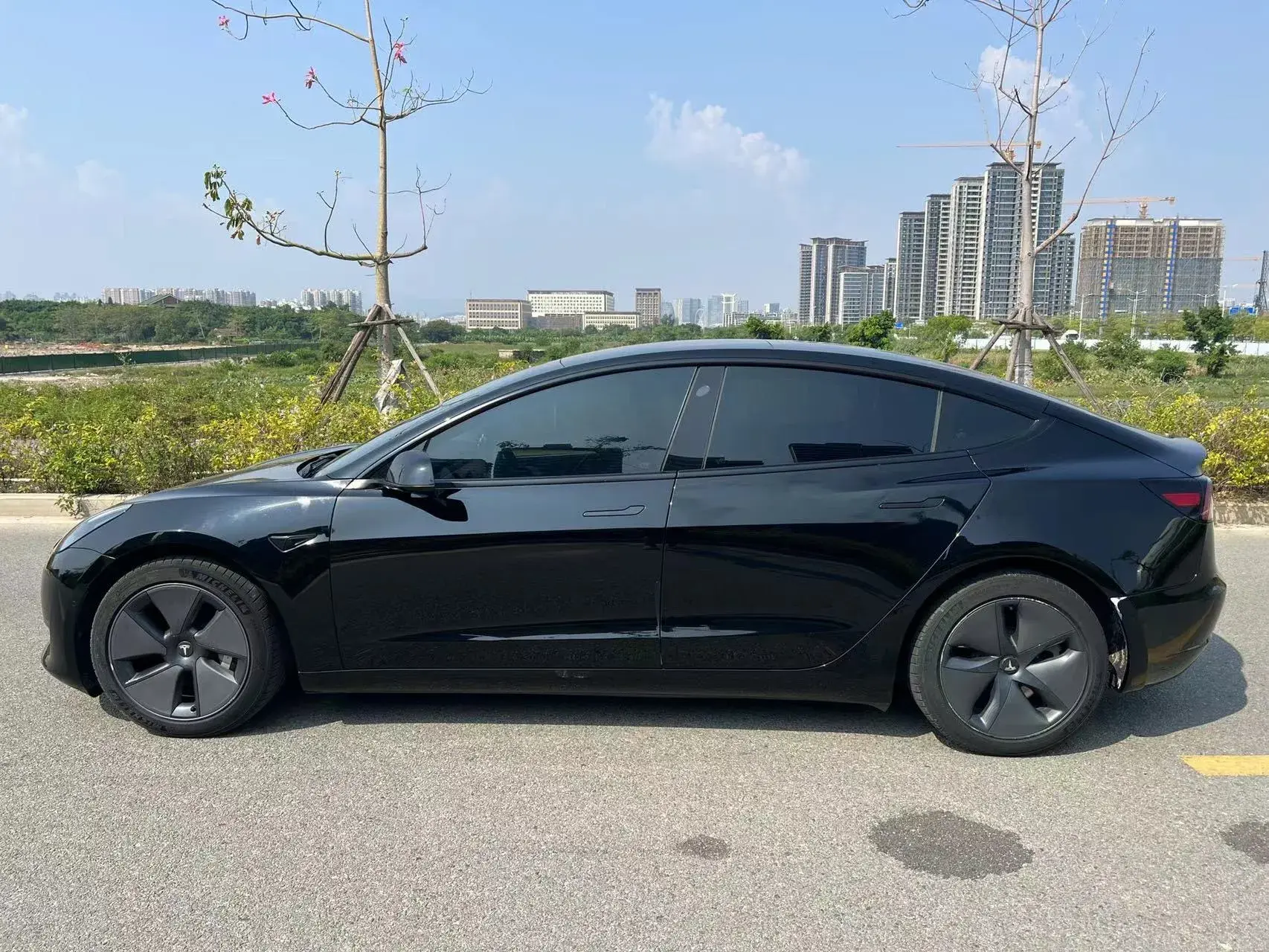 2021 TESLA MODEL thumbnail 3