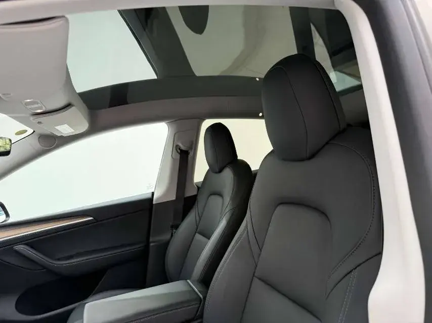 2021 TESLA MODEL thumbnail 3