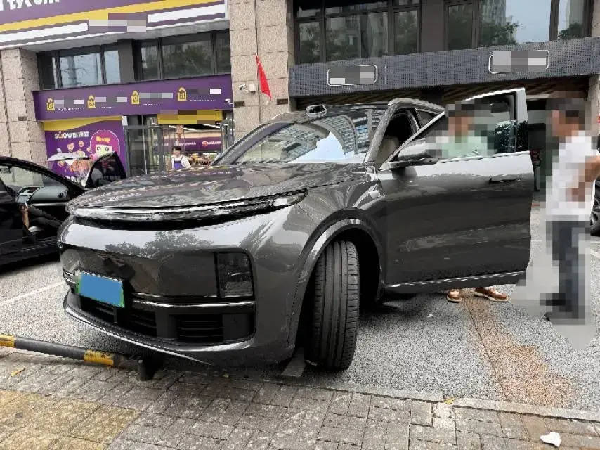 2022 LI L9 thumbnail 2