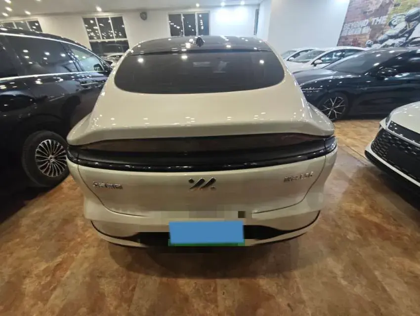 2023 IM LS6 thumbnail 4