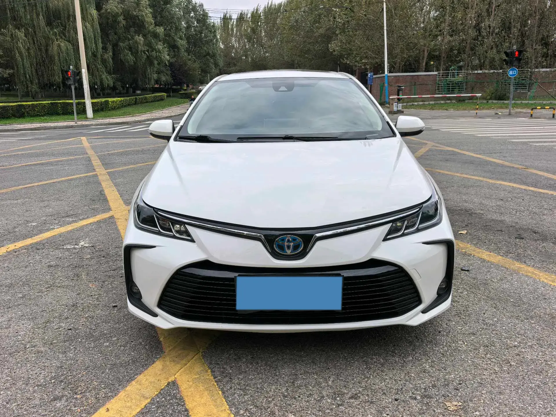 2019 TOYOTA COROLLA thumbnail 2