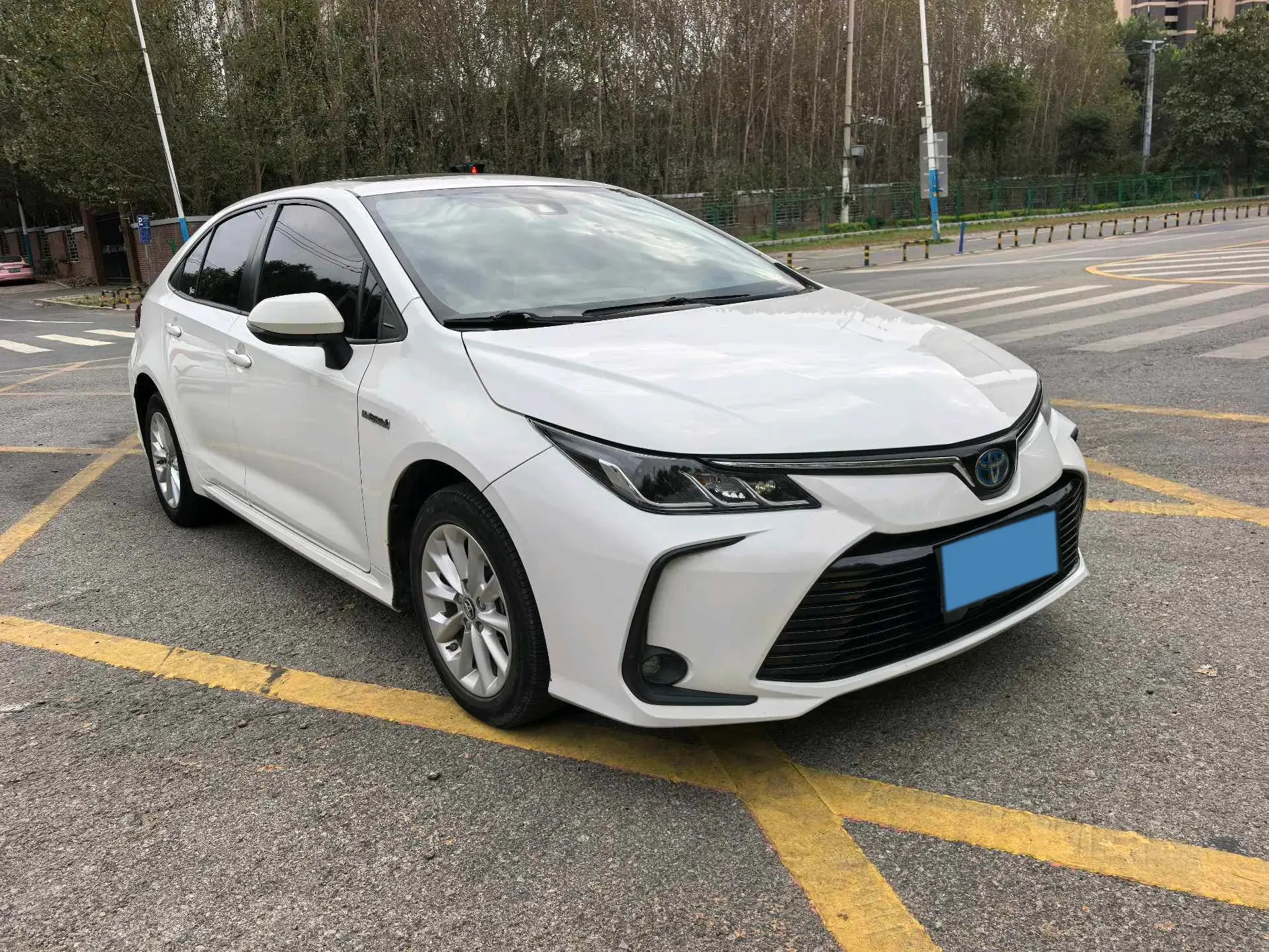 2019 TOYOTA COROLLA thumbnail 3