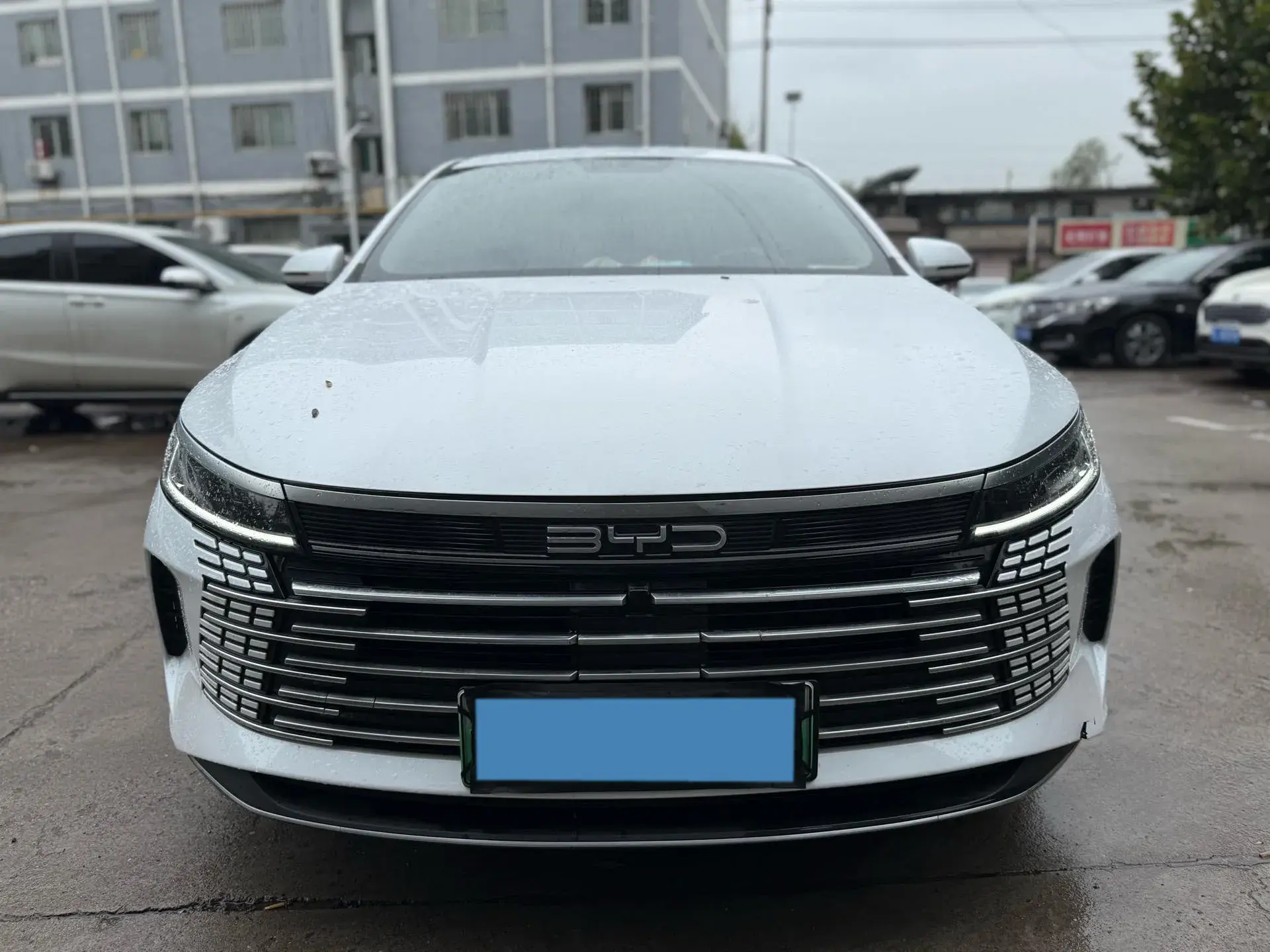 2024 BYD DESTROYER thumbnail 2