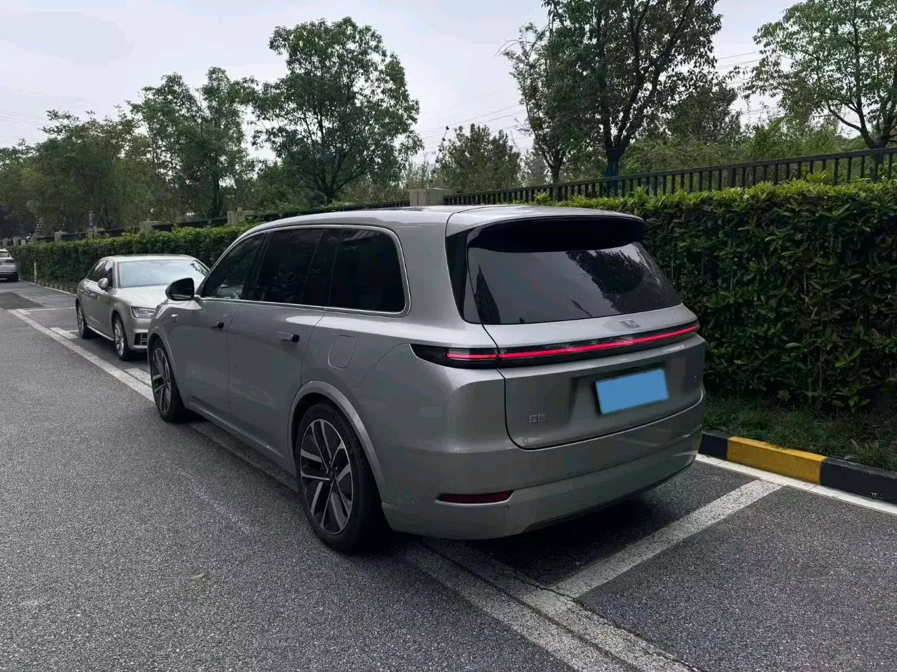 2022 LI L9 thumbnail 3