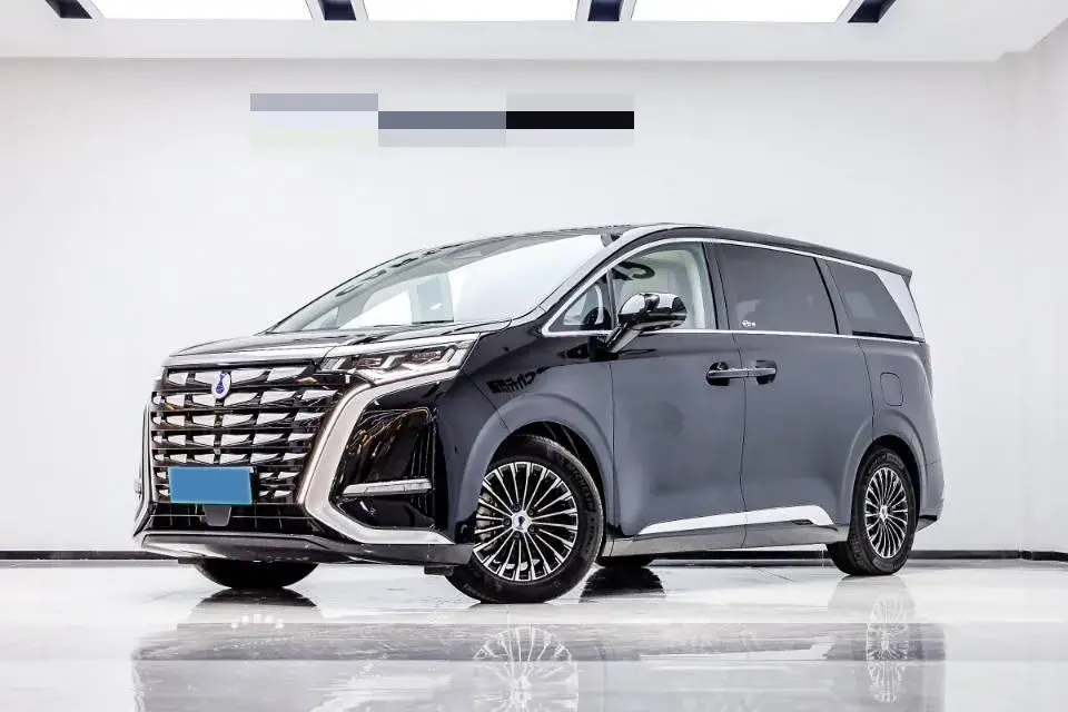 2024 DENZA D9 view 1