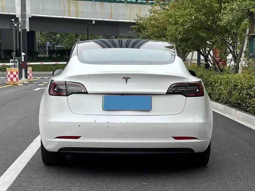 2020 TESLA MODEL thumbnail 4