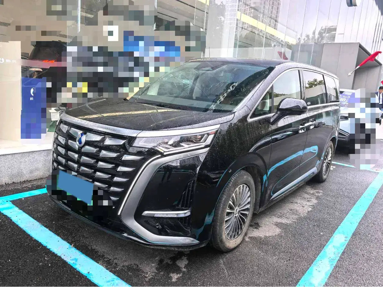 2024 DENZA D9 view 1